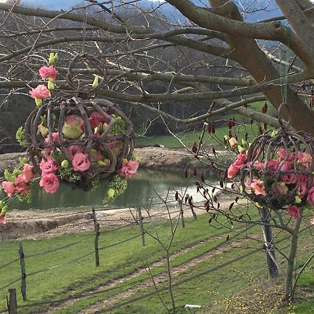 La Bergerie Bed & Breakfast Pollionnay ภายนอก รูปภาพ