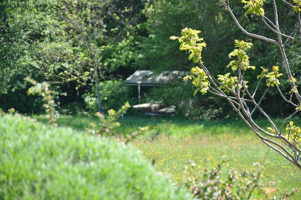 La Bergerie Bed & Breakfast Pollionnay ภายนอก รูปภาพ