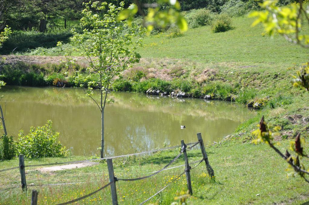 La Bergerie Bed & Breakfast Pollionnay ภายนอก รูปภาพ