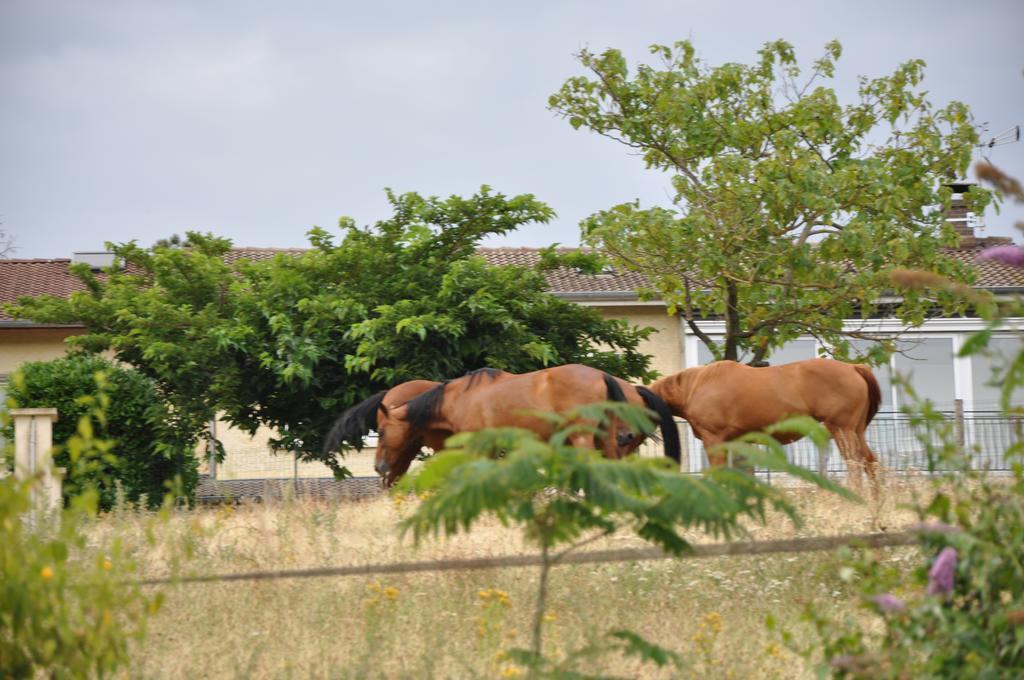 La Bergerie Bed & Breakfast Pollionnay ภายนอก รูปภาพ