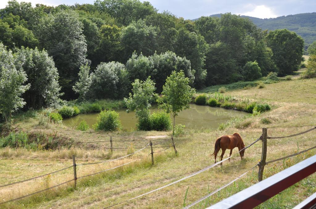 La Bergerie Bed & Breakfast Pollionnay ภายนอก รูปภาพ