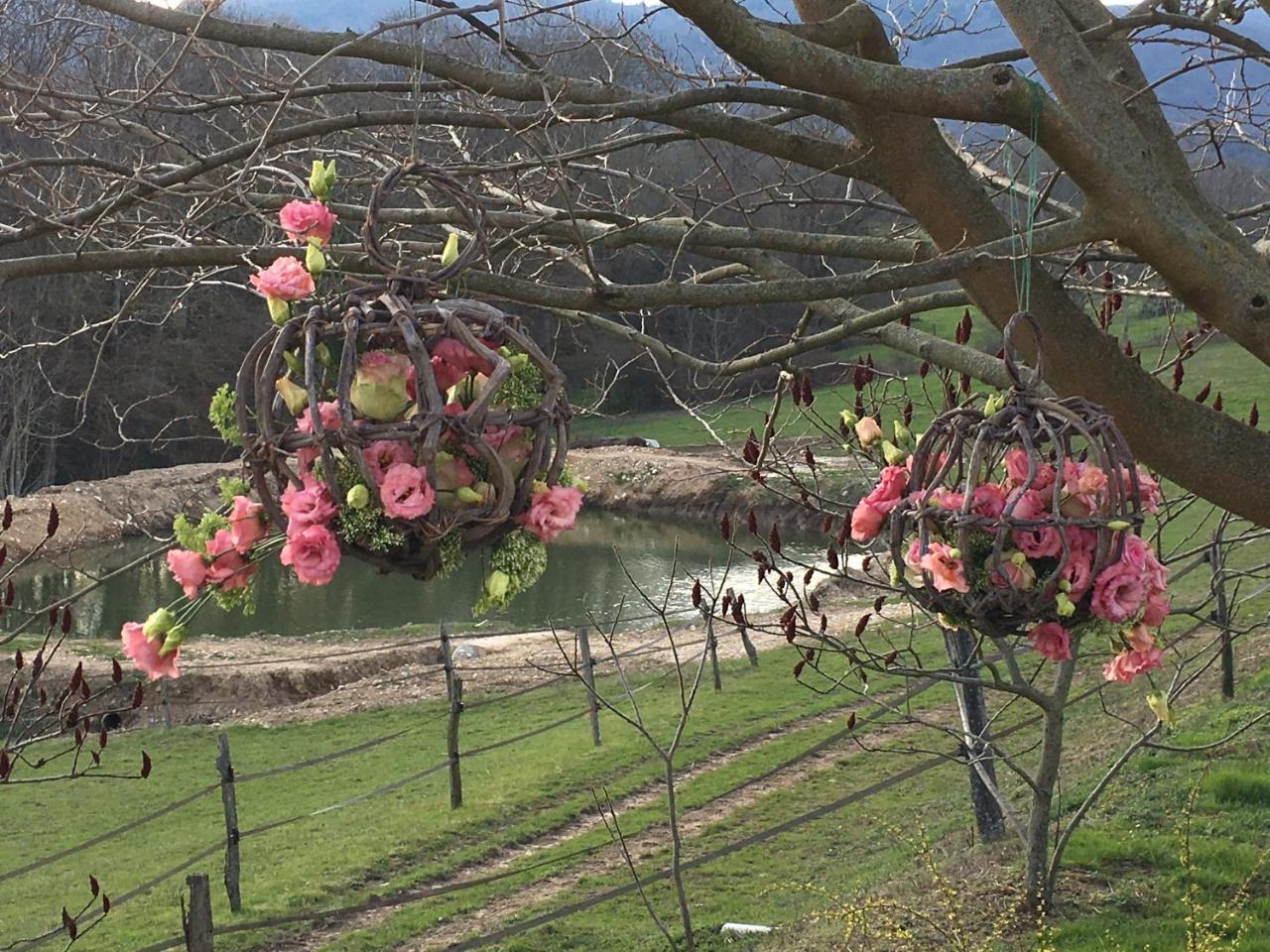 La Bergerie Bed & Breakfast Pollionnay ภายนอก รูปภาพ